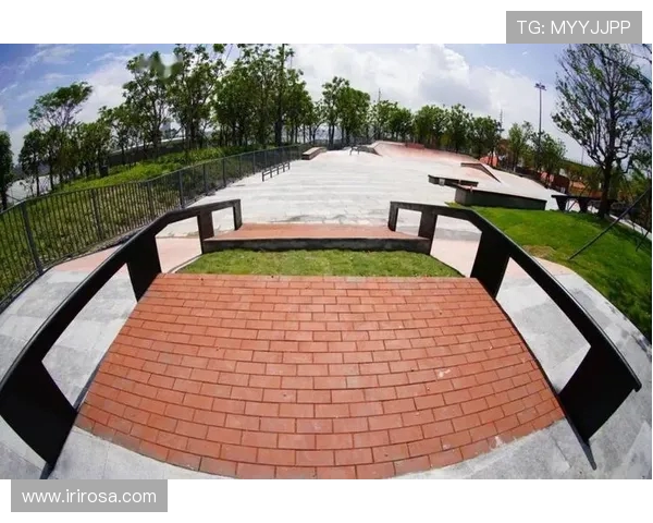 深圳滑板队心理素质排名第一最新滑板心理素质TOP10全解析 深圳滑板队心理素质排名第一最新滑板心理素质TOP10全解析