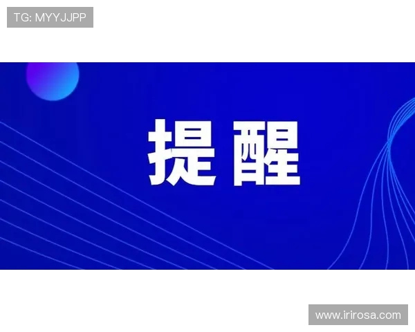 重庆飞盘队盯防策略分析与比赛表现评估的深度探讨