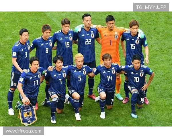 阿根廷与波黑激战结果揭晓球迷热议精彩瞬间与关键时刻