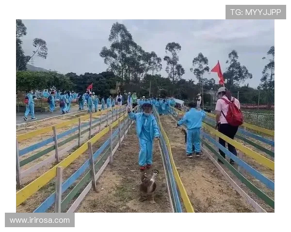 专访攀岩高手李磊揭秘他成功背后的心路历程与训练秘诀