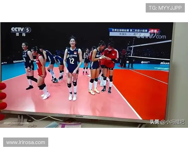 杭州排球队在世界锦标赛中的比赛经验与表现分析